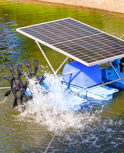 Bombas solares para acuicultura y mantenimiento de ríos